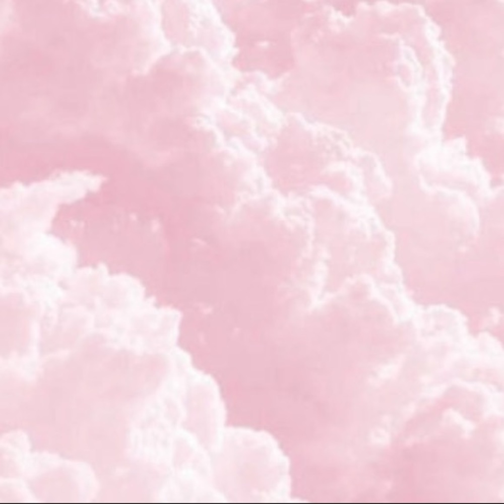 Meet your Posher, Bella